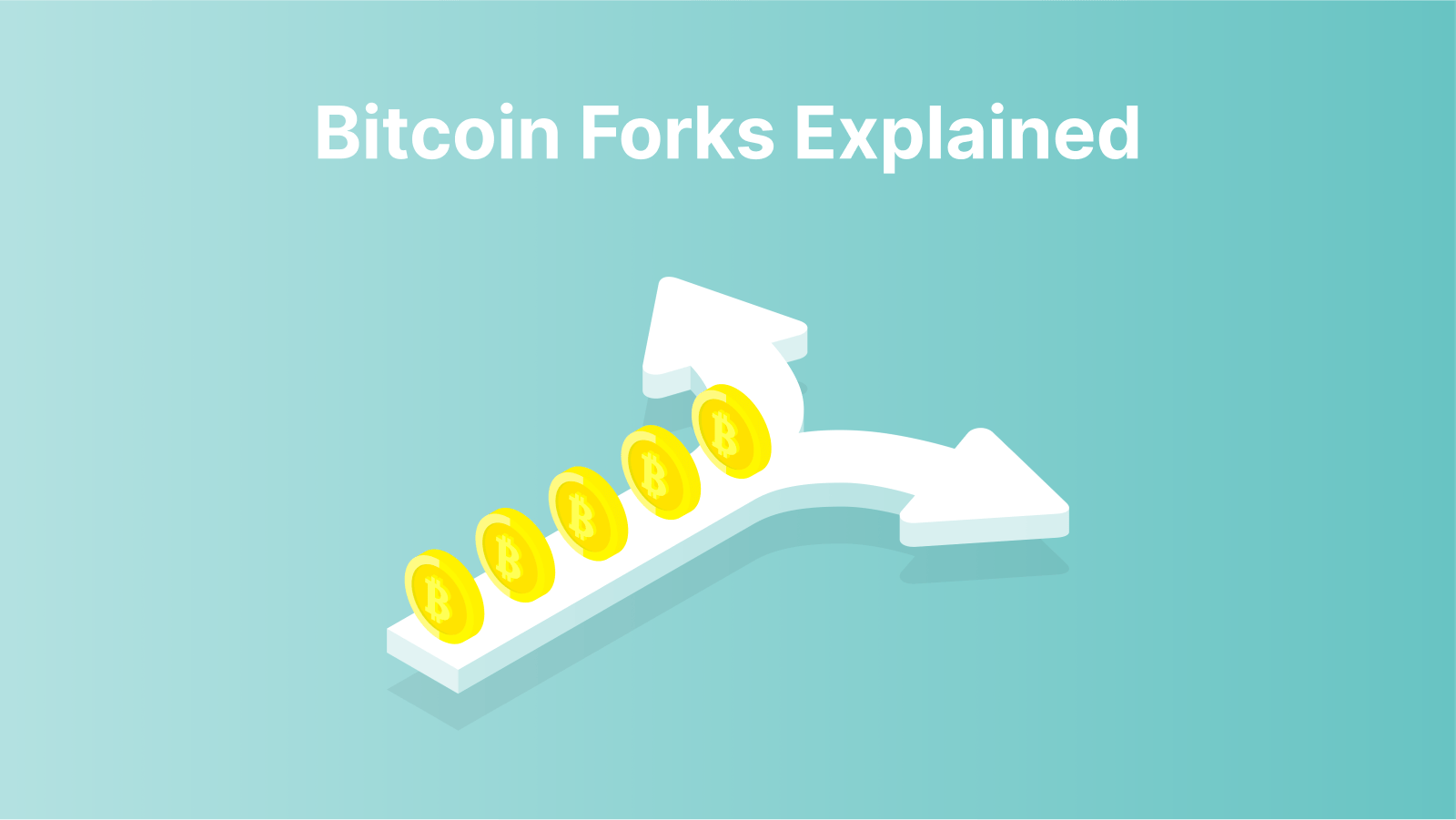 All About the Bitcoin Cash (BCH) Hard Fork