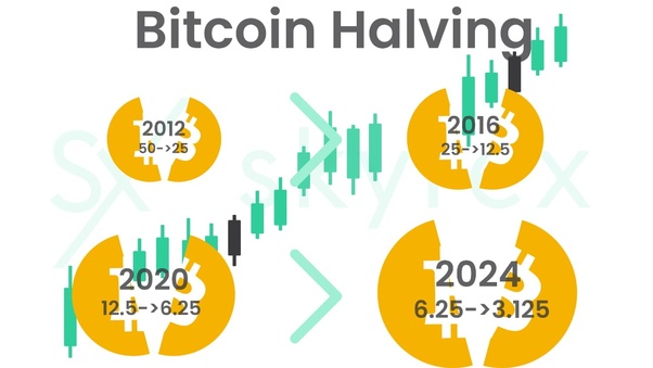 The Bitcoin Halving and Its Effect on Miner Revenue