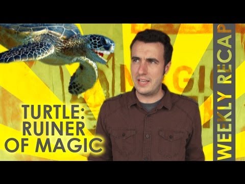 Flying Turtles - Coinage - Magical Apparatus