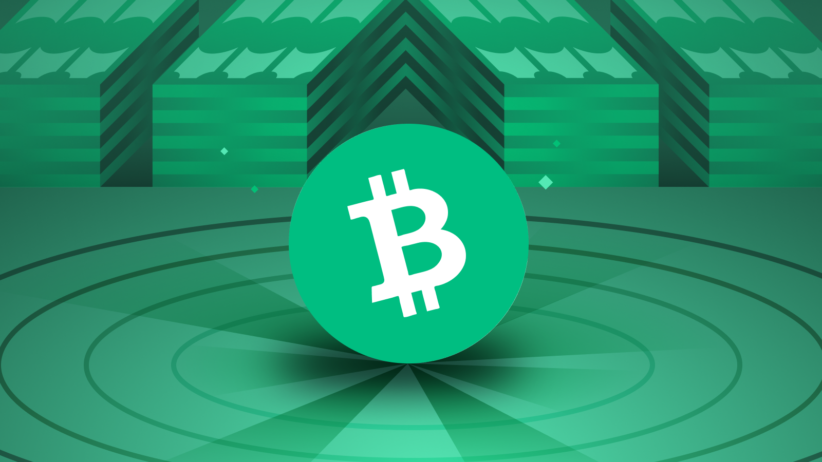 Bitcoin Cash - Wikipedia