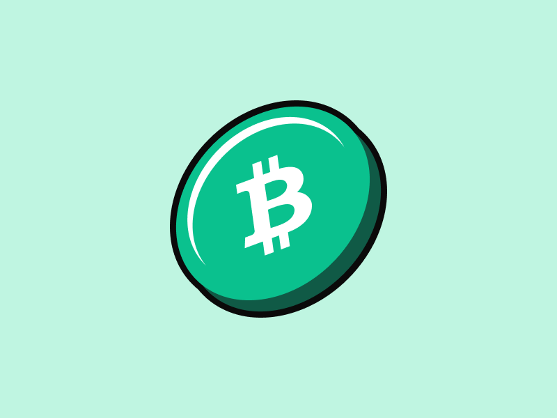 What is Bitcoin Cash (BCH)? | Coinhouse