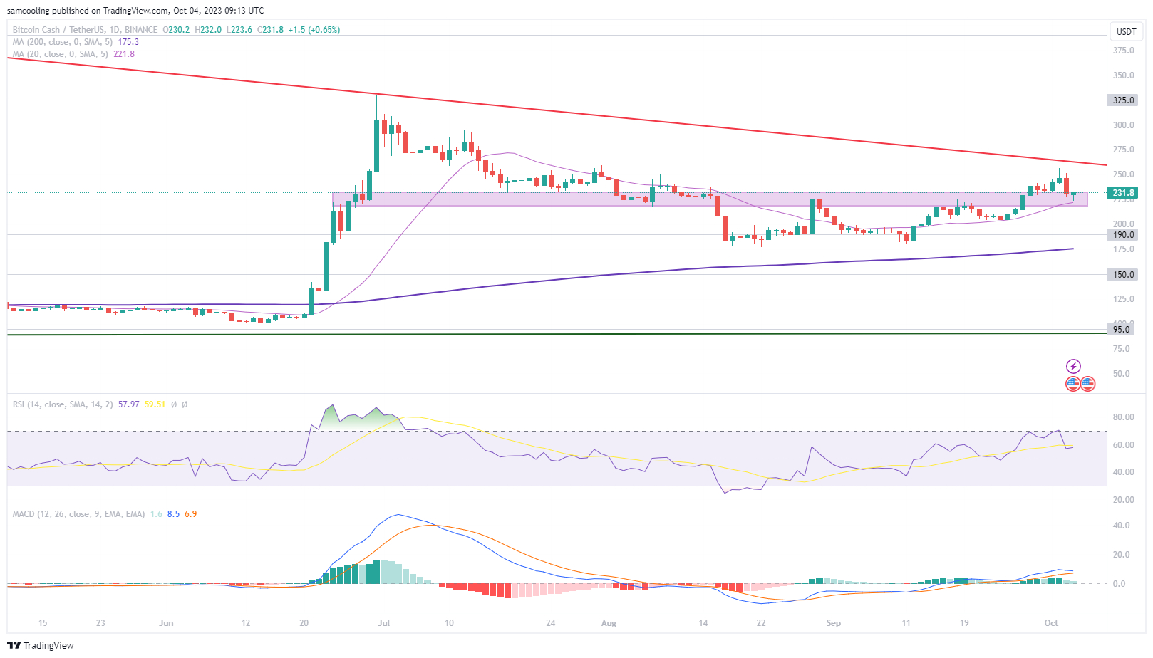 Is bitcoin going to crash again? - Times Money Mentor